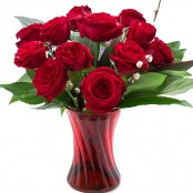 12 Red Roses in a Vase
